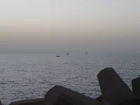 P1010256.webp
