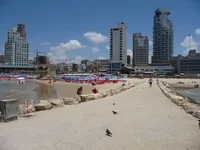 P1010956.webp