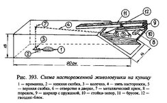 живоловушка.JPG