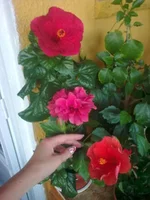 0854.webp