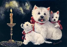 1b0f636d8e63.webp