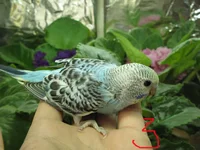 IMG_1327.webp