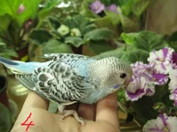 IMG_1328.webp