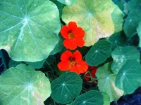 7b5c78ff6973.webp