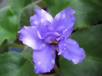 8369.webp