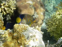P1010105.webp