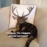 FB_IMG_1600243773041.webp