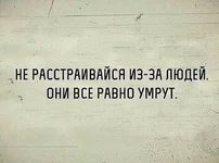 21212122112.webp