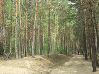 IMG_3103г.jpg