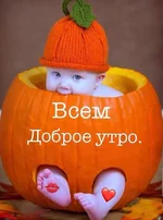 IMG-20200924-WA0000.webp