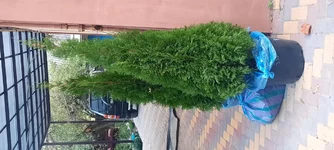 20200924_175404.jpg