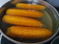 IMG_20200926_145732.webp