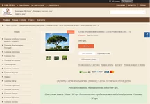 57888888.webp