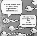 IMG-b8cf6b198303185e74a9563ebfb03bc5-V.webp