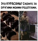 120446446_739866119929278_9019989756218713542_n.webp