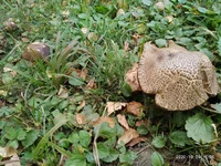 P01003-165603.jpg
