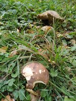 P01003-165424.jpg
