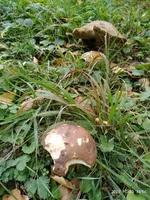 P01003-165424.webp