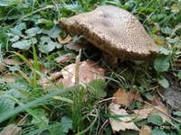 P01003-165429.jpg