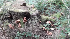 20201003_152712.jpg