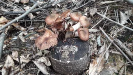 20201003_150708.jpg