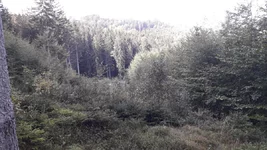 20201003_142514.jpg