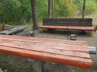 IMG_2753.webp
