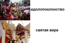 imp1453668797_7019402.webp