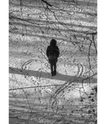 _2102985-inst.jpg
