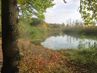 IMG_3074.webp