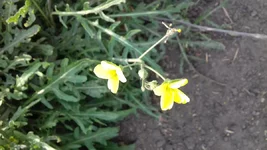 20201011_150759.jpg