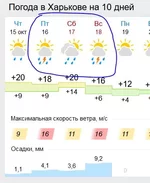 1.webp