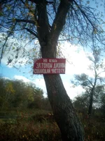 IMG_20201018_133116.jpg