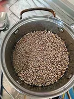 IMG_20201020_135305.jpg