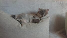 DSC_0885.jpg
