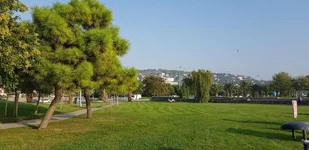 20201023_163856.webp