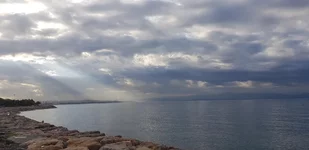 20200930_083051.webp
