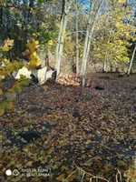 IMG_20201027_150748.webp