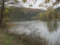 IMG_3172.webp