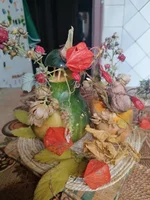 IMG_20201030_130712.webp