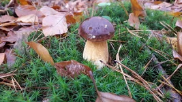 20201101_124007.webp