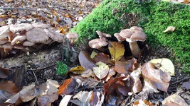 20201101_104512.webp