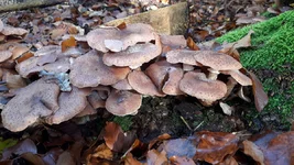 20201101_104527.webp