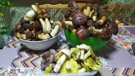 IMG_20201103_233051.jpg
