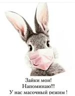 image (5).webp