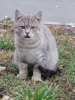 IMG_20201101_132636.jpg
