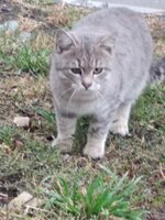 IMG_20201101_132631.jpg