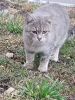 IMG_20201101_132631.webp