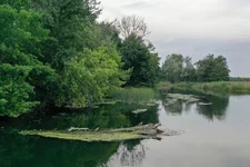 DJI_0374.webp