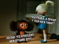 IMG_5388.jpg